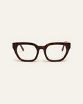 Kiara Turtle Brown Readers, front