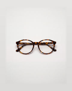Jasmin Turtle Brown Readers