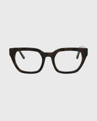 Kiara Turtle Brown Readers